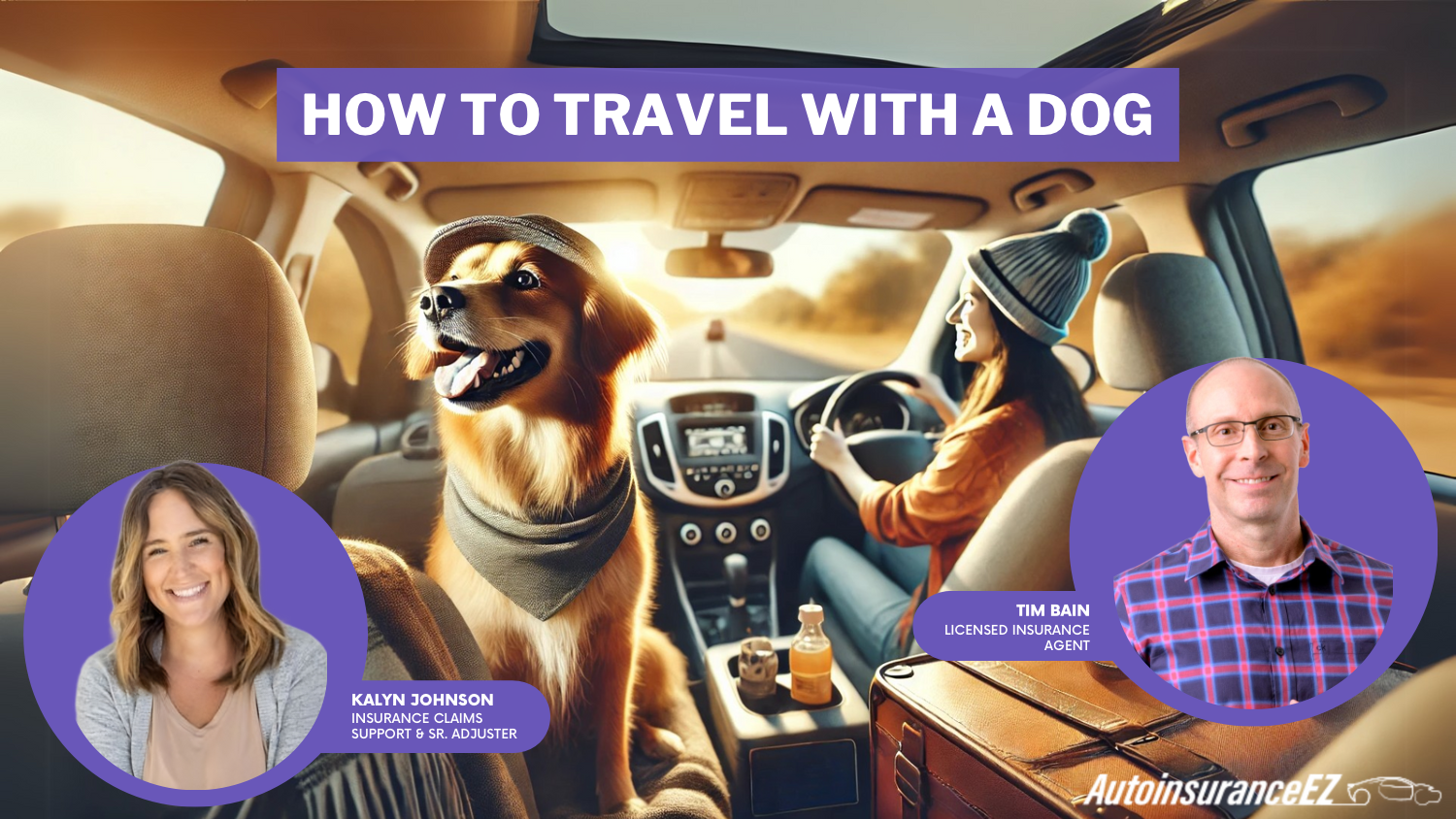 How to Travel With a Dog