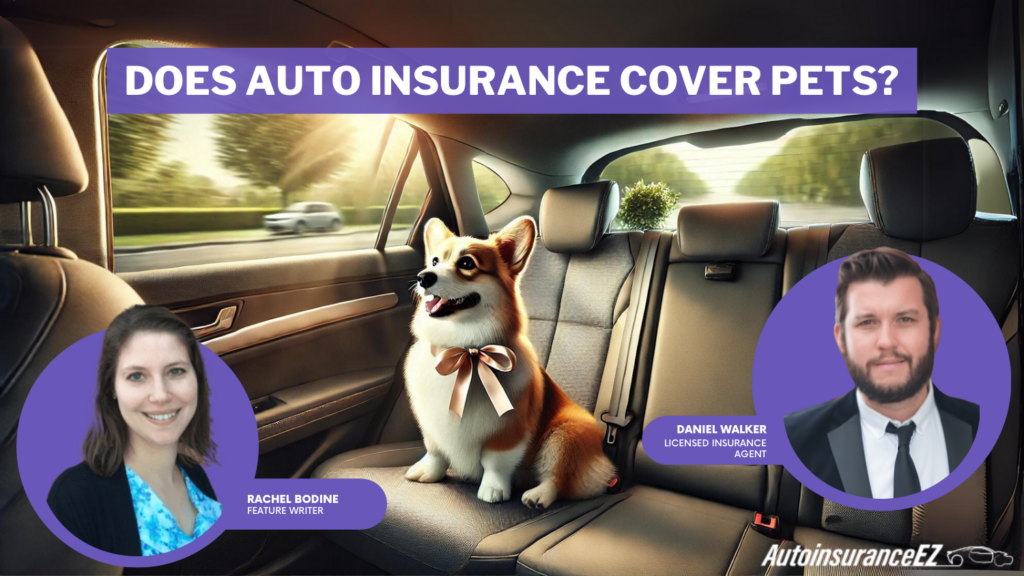 Does auto insurance cover pets?